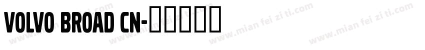 Volvo Broad CN字体转换